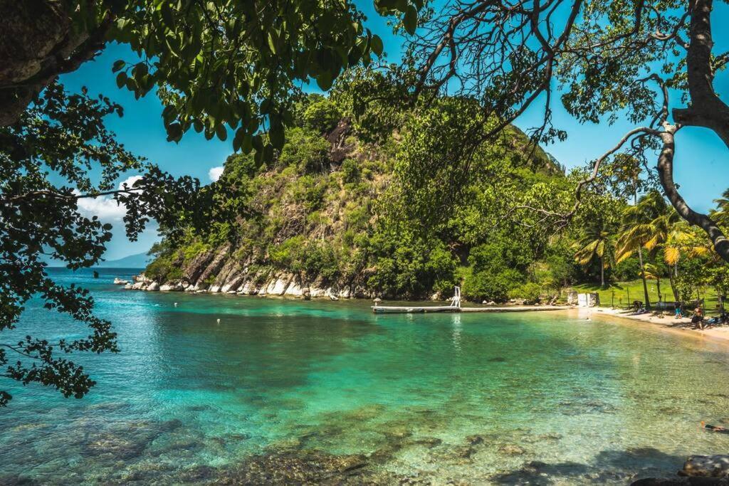 Caraibes Cottage Grenat Piscine Privee 900M De Grande Anse Deshaies Bagian luar foto