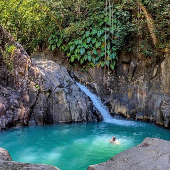 Caraibes Cottage Grenat Piscine Privee 900M De Grande Anse Deshaies Bagian luar foto