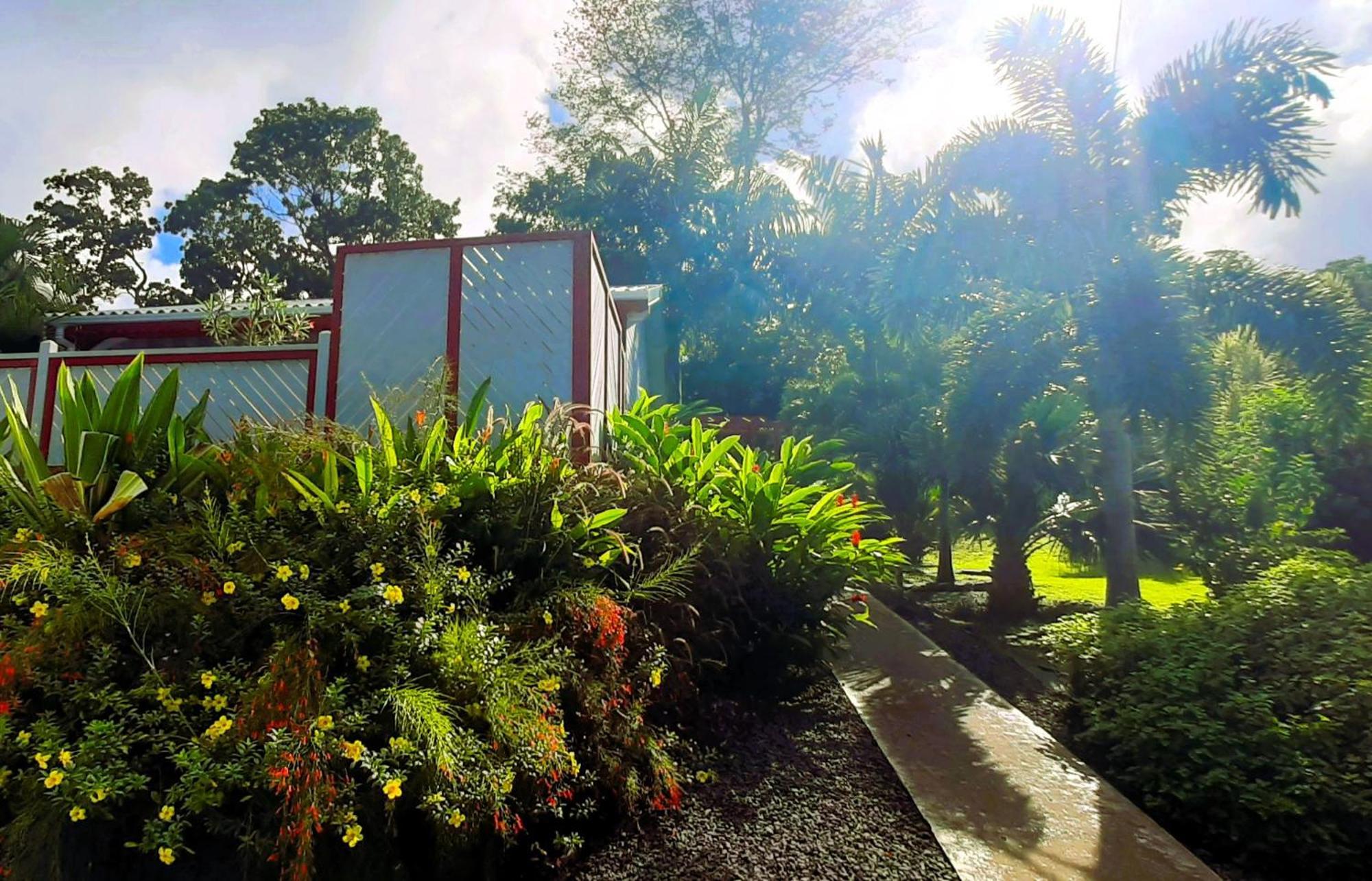 Caraibes Cottage Grenat Piscine Privee 900M De Grande Anse Deshaies Bagian luar foto