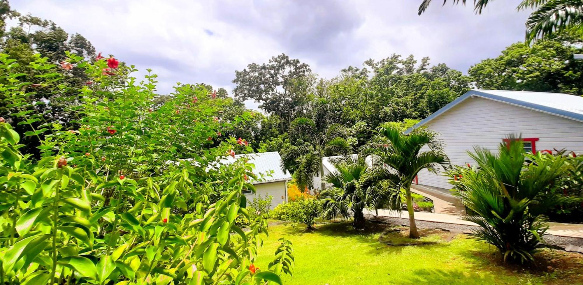 Caraibes Cottage Grenat Piscine Privee 900M De Grande Anse Deshaies Bagian luar foto