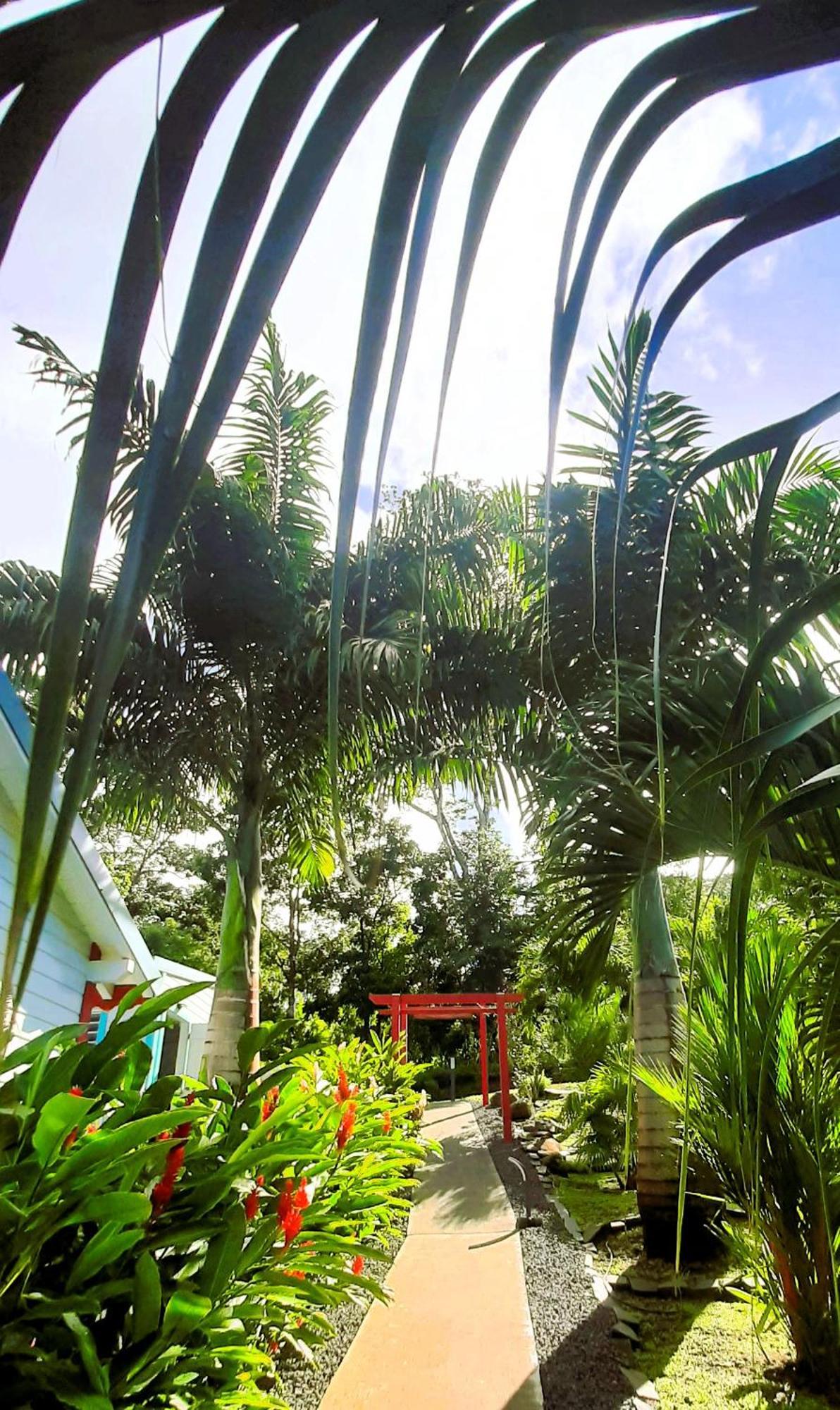 Caraibes Cottage Grenat Piscine Privee 900M De Grande Anse Deshaies Bagian luar foto