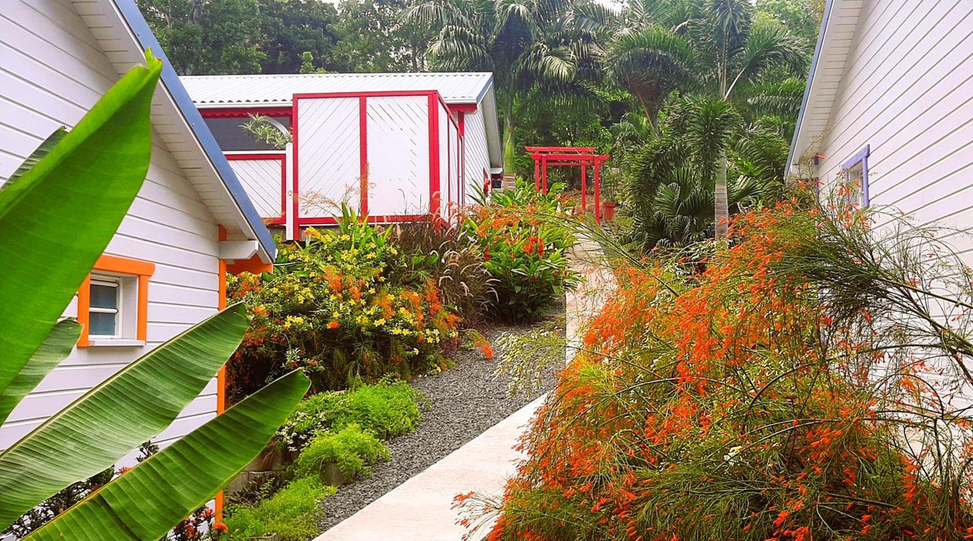 Caraibes Cottage Grenat Piscine Privee 900M De Grande Anse Deshaies Bagian luar foto