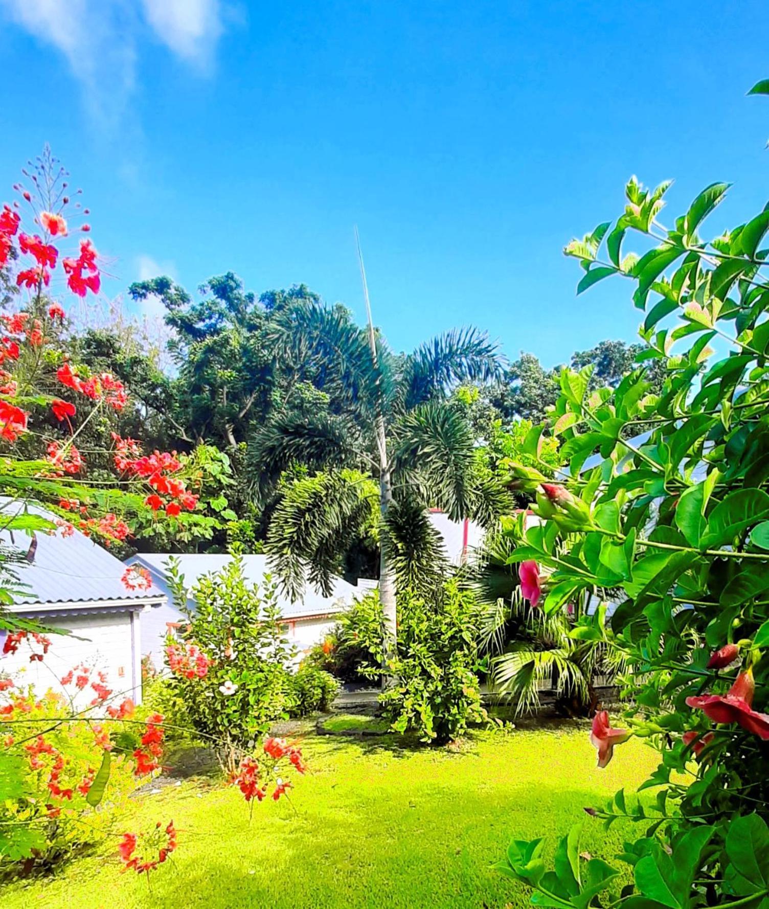 Caraibes Cottage Grenat Piscine Privee 900M De Grande Anse Deshaies Bagian luar foto